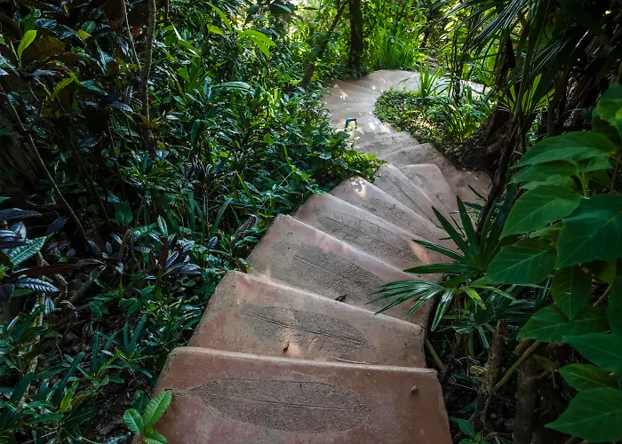 Phu Chaisai Chiang Rai Mountain Resort