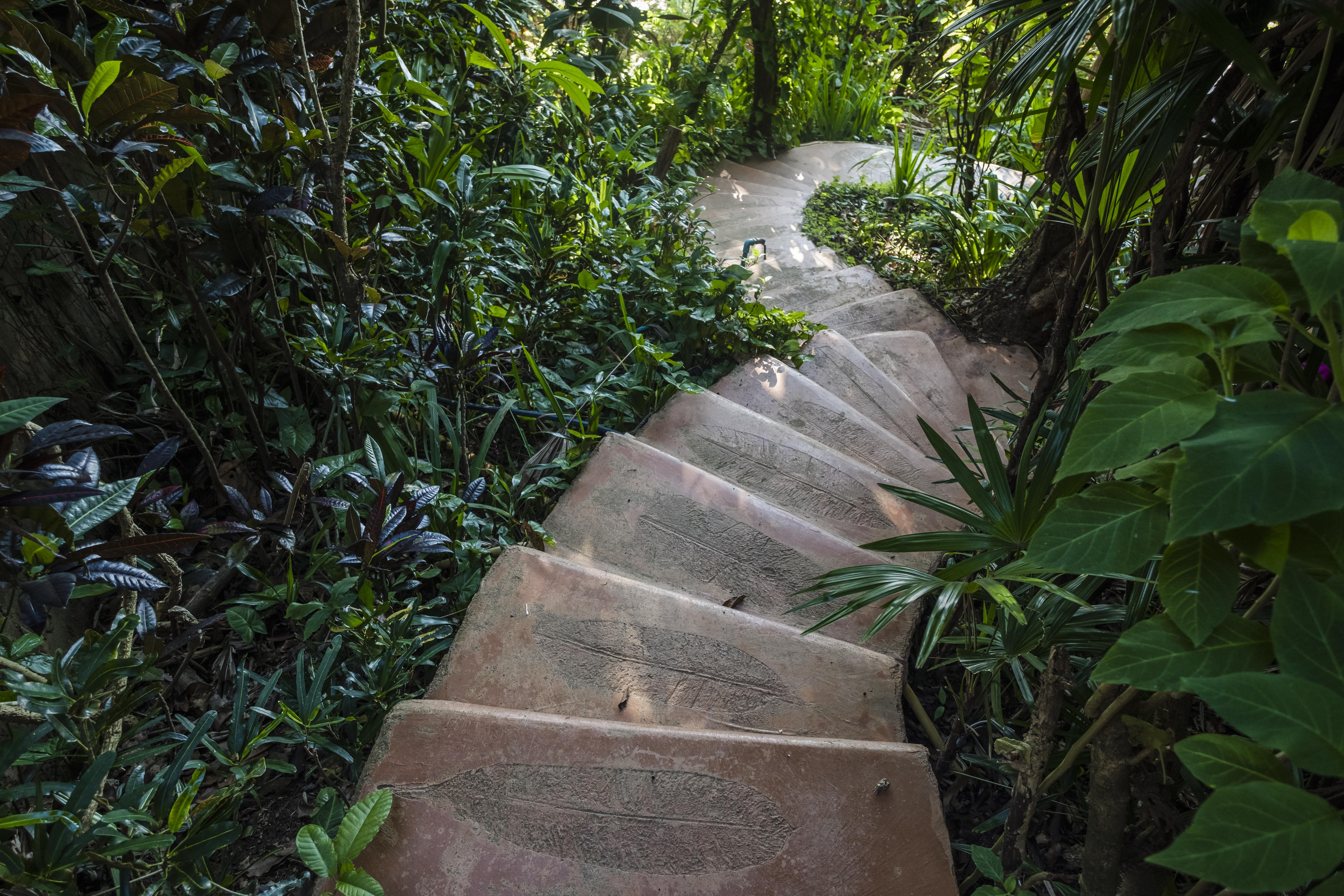 Resor Phu Chaisai Chiang Rai Mountain