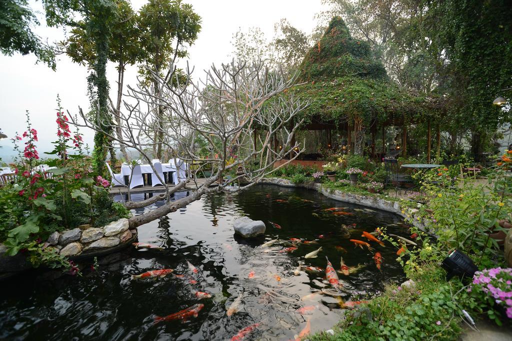 Resor Phu Chaisai Chiang Rai Mountain