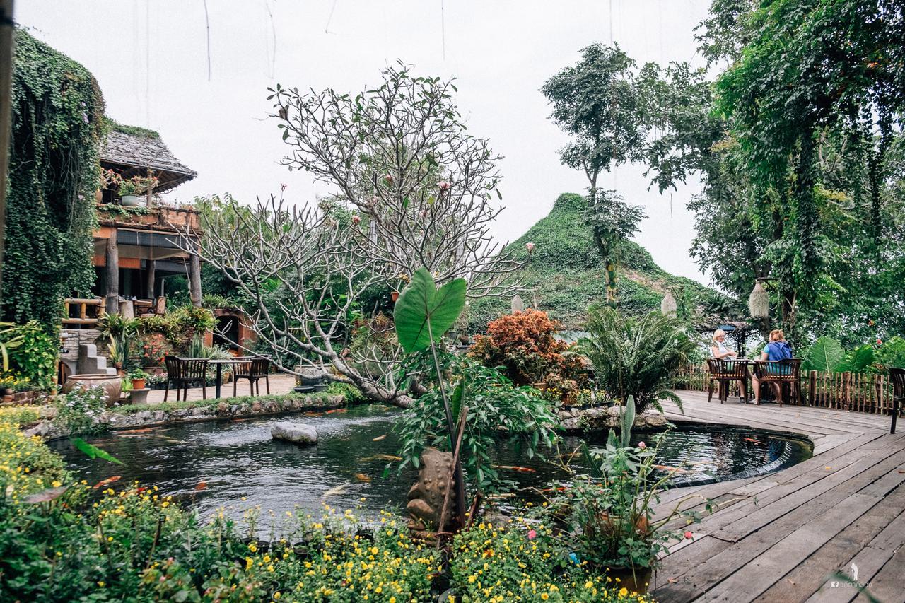 Resor Phu Chaisai Chiang Rai Mountain Mae Salong Nai